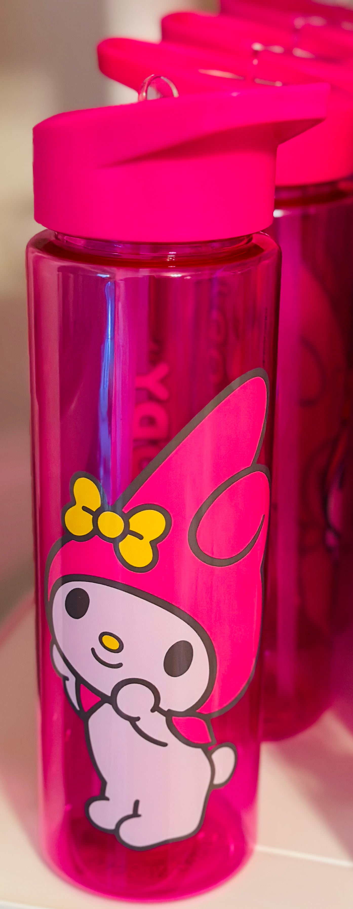 My Melody 24oz Water Bottle